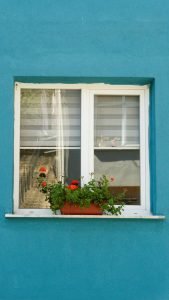 Bright blue wall with a window and vibrant flower box in İstanbul, Türkiye.