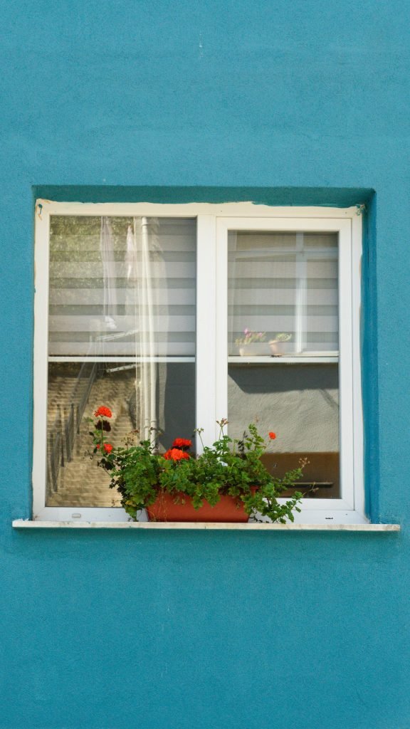 Bright blue wall with a window and vibrant flower box in İstanbul, Türkiye.