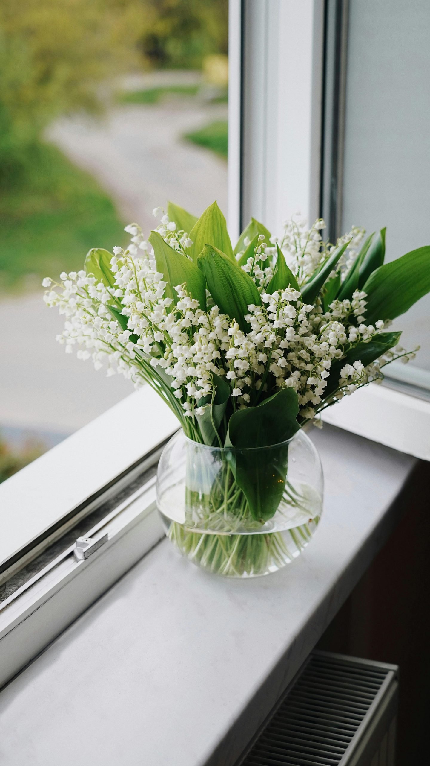 Elegant lily of the valley bouquet in a clear vase by an open window, bringing nature indoors.