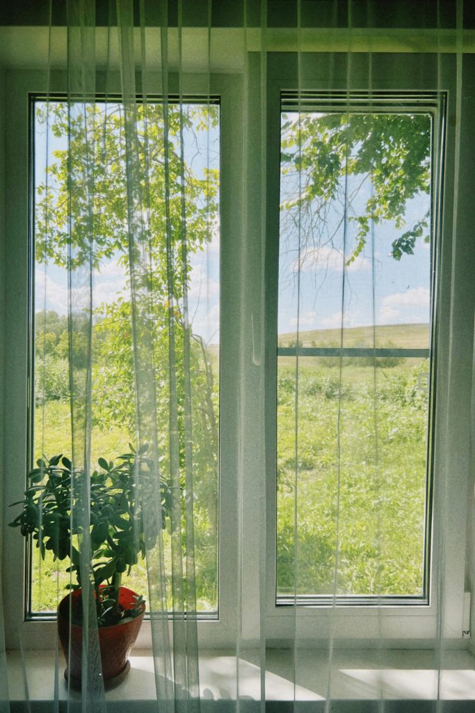 A peaceful view through a window to the lush green Kazakh landscape in summer.